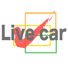 Live car�i���C�u�E�J�[�j���S